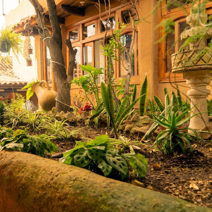 Hospedaje Boutique Paz Creativa San Cristóbal de Las Casas Eksteriør billede